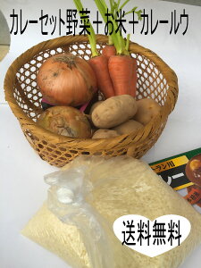 J[؎R`Y (PR`YjJ[ẼZbg WKC ʂ˂ lQ P ƖpJ[E200g 10M J[ ޗ H Zbg J[[ Ђ R` n  