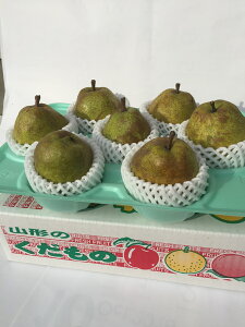 R`YtX 2kg 6`8 Hׂ Oψ Yn `œx H͗m̒łō Fǂ@