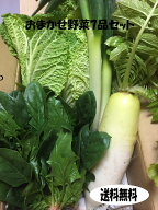 おまかせ野菜7品セット野菜セット 旬野菜 新鮮野菜 国産野菜 ご当地野菜 旬の野菜 季節野菜 季節の野菜 …