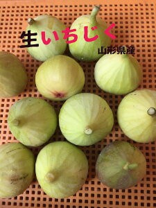 C`WN@ԉ  sV̉ʕ W@R|[g fU[g C`WÑC C`WN̐| H