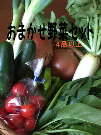 【送料込み】4品以上　野菜　詰め合わせセット　野菜セット　おまかせ　送料込み　(中国、四国、九州地方へのお届けは500円の別途料金をお願い致します。