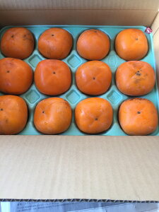 y󂠂z`  햳` Ēa R`Y 2.0ki12`16ʁja n 