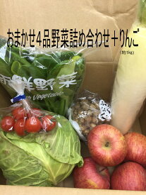 おまかせ4品野菜詰め合わせと訳ありリんご 約1キロ 野菜 野菜生活 整腸送 料込み (中国、四国、九州地方へのお届けは500円の別途料金をお願い致します。