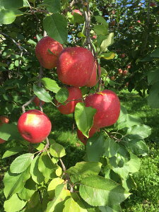 R`YSy񂲖3kg zӂ Î_ς S@ ƒp Fނ炠 ꂠ p HOKH  W W[X Hp P[L AbvpC  t[c 