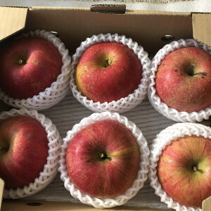 山形県産 約3kg サイズおまかせ 美味しい 林檎 くだもの フルーツ 山形産りんご ご当地 果物 お取り寄せ お試し