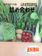 おまかせ10品 山形産野菜詰め合わせ 野菜セット 農家の野菜 国産野菜 ご当地野菜 旬の野菜 季節野菜 季節…
