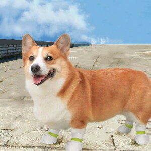 C ~  ybgObY یV[Y PKh~ ĝău[c h~ ی ی ybgC h ho U J