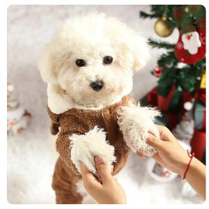 v[g    g  {A ~ j X IX ̎q j̎q Cxg N VN 