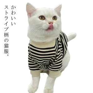 ybg L̕ ^ ˂ lR ~ H ΍ L XgCv p[J[ g[i[ hbOEFA ̕  ybg