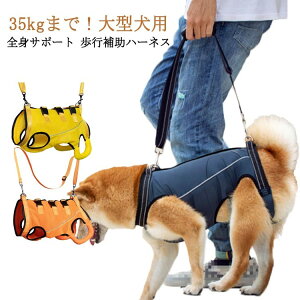 Sg  ^ pn[lX s⏕ pi Vn[lX n[lX Ȃ s⏕n[lX bVf Sgn[lX ʋC ^ p V  VjA ėp