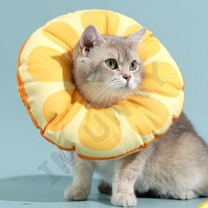 GUxXJ[ GJ  L ybgp \tg p  p ی y XgXy rߖh~ J[ \tg^Cv o[Vu