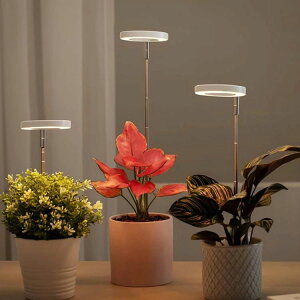 led z LEDA琬Cg USB  X^h ƕs A A𑣐i LED A琬 Cg Aؔ ϗtA A ϗtA ⑫ z ϗtA琬 Lk^C