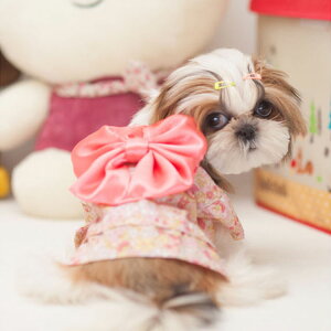  L  ꒅ a ybgEFA hbOEFA  L VN N  Ղ j̎q ̎q IX X j a a ~ H t   ʔ ΂ ʐ^ w RX