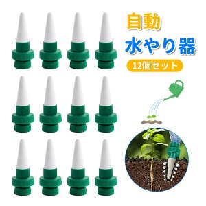 Lbv  A 蓖 12Zbg  A 傤 @ UVXe TCN    ybg{gΉ Up 