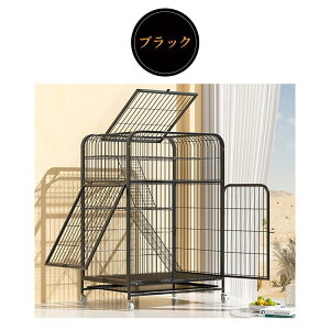 L P[W LbgP[W 3i L݌v Rgݍ킹 g[t LhAt nbNt ^ LQ[W i  ی Eh