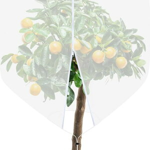 } Q΍ AیJo[ 悯lbg 185x185cm ʎ͔| hlbg t@Xi[t h 悯 lbg ʎ bV ؉v^[p | Aی  u[x[ イ