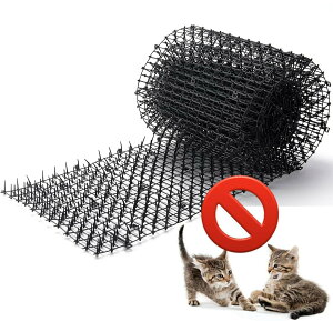 _V[g L悯}bg L΍ sXpCNt hL}bg vX`bN ubN 뉀 x_ Ԓd ؉ bQh~ Qb K[ftFX |pi L sgQt