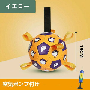    {[  ߋ _炩   ЂƂV I`{[  ybgp ybgp{[ ^s ɂ v  ^ ^ TPU TbJ[{[ A