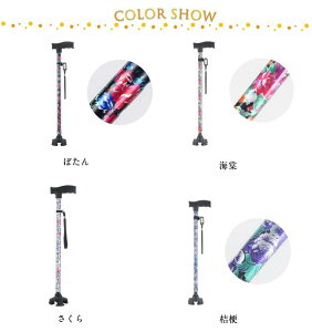    l_   y p   s⏕ fB[X  Lk Lk XebL  ԕ 11iK nr fB[X  hV̓ ̓ a v[