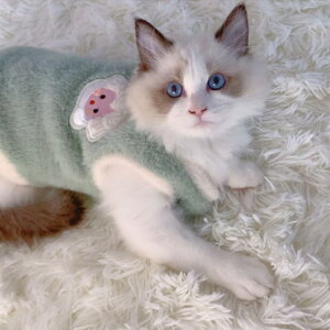 Ȃ hbOEFA ~p LbgEFA L  xXg ybg _炩 ӂӂ g  pW} U  ybg H~ Hp h іh~ ̕ ^ ^N