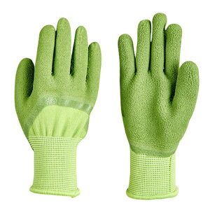 | S K[fO[u | |p h j̎q @ 4-9  LbYp ̎q wNp Ǝ K[fp ZOwK gQh~ hh~ ԐA ~ 