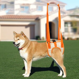  Ck  pi  둫n[lX p  p n[lX nr ⏕ 둫 hbOn[lX V VjA s⏕ sT|[g U p pi n[lX s