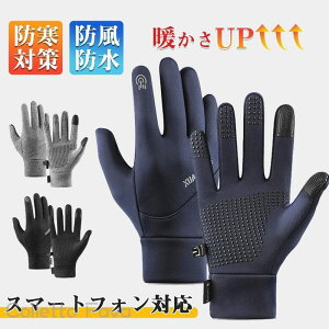 Y  ~̂ԃt[Xf pC{A ׂ~ߕt Y O[u ATHLEISURE H ~ ] h ~ ʋ ʊw oCN  men's AEghA g a v