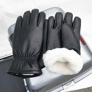   Y fB[X ~ g N {A E[  h oCN Ԃ ʋ ʊw Vv 