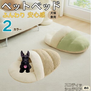 XReBbVeA XRbeB ybgxbh LΉ ~p Q܃^Cv ӂӂ NbV ۉ h 􂦂 ^ ^ Lp p  k \t@ nEX  