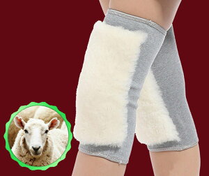 GT|[^[   GEH[}[ jp ~ h ۉ Ђp jZbNX G _炩 e n Vv ₦΍ ߂ a NX}X v[g