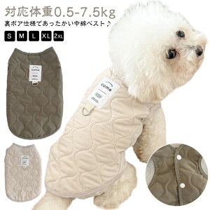 xXg LeBO EFAn[lX  ybg  ybgEFA   n[lX n g {A ̕  n  h hbOEFA H ~ m  p  O