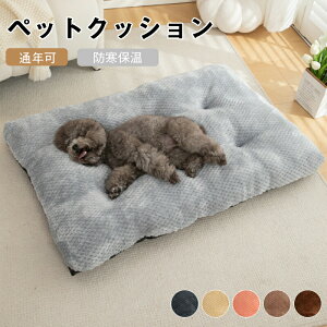 ybgxbh ~ Lpxbh ybg\t@ ybgpQ Lp ybgNbV }bg ̃xbh g ۉ  􂦂 킢  Lxbh xbh Q~ 