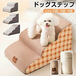 hbOXebv  ybg Xebv Ki ^^^  ݑ L e͂̃X|W i ~j`A_bNX ` v[h ւ̕Sy wjA  VjA 