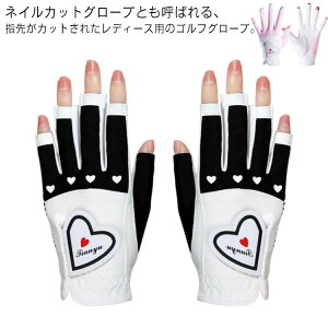 O[u fB[X  t St UVJbg n[g  wJbg Stpi StO[u  lC H  lCJbg