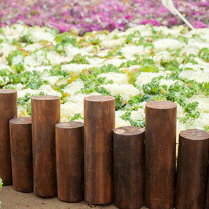 NX}Xc[ ۑ B 18{A 100cm EbhtFX c[ rJo[ ؐ rB ډB  uE x[W VR i` k  NX}Xc[   I[