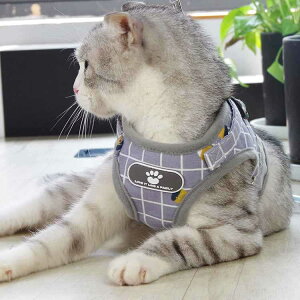 L Lp n[lX ˂ [ht ybg xXg EFAn[lX Lbg hbO bV 킢 Ȃ ȒP U  o Lbg hbO