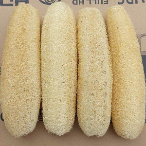 VRw`} w`}X|W 2Zbg 20`25cm 傫 w`}킵 H HuV M Lb`X|W Ȃ ꂪȂ 炩 ₳ {fBX|W 