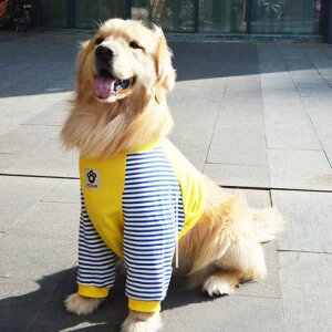 ̕ hbOEGA TVc p[J[   іh~ pW} QԒ _炩 킢  p㕞 pEFA U? o ی ʋC I[V[Y 