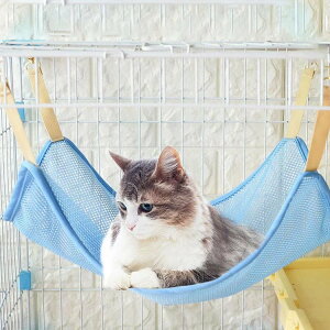 nbN LbgnbN L tbNt bV ʋCQ tȒP MǑ΍ ΍ ăoeh~ 􂦂 P[Wp 