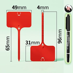 |px 100Zbg K[fjOpi |pi T^ Ap^O l[v[g t[x l[^O K[f Ԓd A 