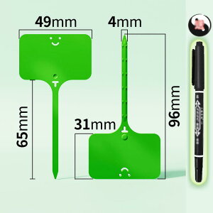 |px 100Zbg K[fjOpi |pi T^ Ap^O l[v[g t[x l[^O K[f Ԓd A 