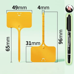 |px 100Zbg K[fjOpi |pi T^ Ap^O l[v[g t[x l[^O K[f Ԓd A 