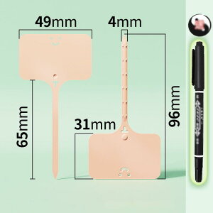 |px 100Zbg K[fjOpi |pi T^ Ap^O l[v[g t[x l[^O K[f Ԓd A 