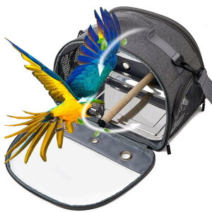 CR L[obO  L[P[W o[h  pi  nX^[ nlY~ o[hL[ ybgL[obO IE tFbg   bV U  