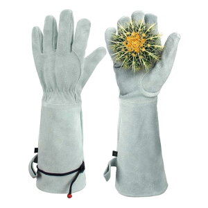 |p O gQ KNO[u  o fB[X KNp  Y op Ƃh~ oO[u o K[fjOO[u | _ A  K[fjO