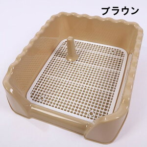 gC  gC g[ ybggC  gCg[jO ybgg[ Ch ybgp t`h~ gCg[s50×43×  t`R h~