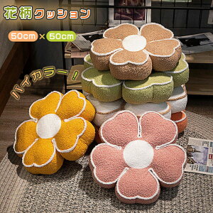 t[ NbV  k zc   w  i` 50×50cm _炩 ؍ G  킢 \t@ 1 fCW[   u  q ʐ^ f l