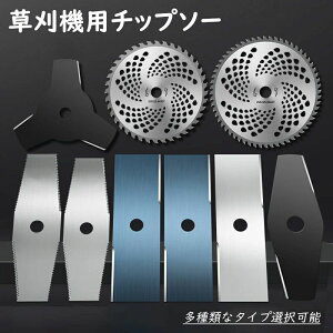 `bv\[ @ 1/2/5/10Zbg @p`bv\[  ֐n @ TCY n H  y p[c  _ | ȒP  Ő ϋv Jb^[ S ւn u[h GN