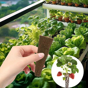 k͔|pX|W 12 50 k͔|Lbgp E^|n X|W|n ec|bg k͔| |bg͔| L@ k͔|Lbg ܂ c K[f A琬 