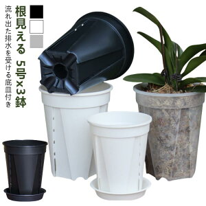 3Zbg Xbg 5TCY Aؔ Mt Xbg Xbg  Aؔ   Aւ ϗtA̐Aւ 锫 NA  ϗtA̔ ϗtA  vX`